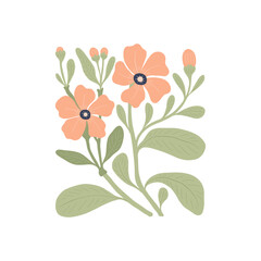 Floral abstract elements. Botanical composition. Modern trendy Matisse minimal style. Floral poster, invite. Vector arrangements for greeting card or invitation design