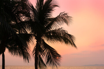 Fototapeta na wymiar Silhouette coconut palm tree on sea and sunset sky background