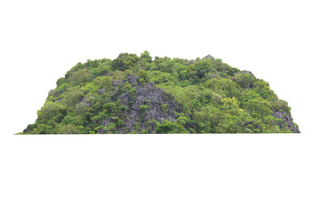Green tree isolated on transparent background with clipping path, hill, mountain with clipping path and alpha channel. for both printing and web pages.