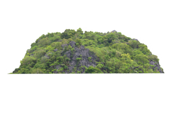 Green tree isolated on transparent background with clipping path, hill, mountain with clipping path and alpha channel. for both printing and web pages.