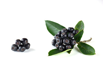 Ripe chokeberry berries on white background.