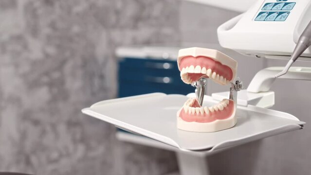 No People Shot Of Open Jaw Model On White Dental Chair Instrument Tray At Modern Dentist Office