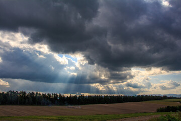 Obraz na płótnie Canvas 美瑛の畑と雲の間からの光芒