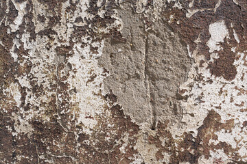 Texture of an old concrete wall with peeling paint and potholes.