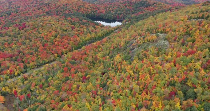 A road slices through the colorful autumn landscape along Panther Pond near Panther Mountain Bog in Adirondack Park in Upstate New York.