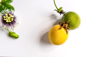 maracuja flower, leaf and fruit on white background
