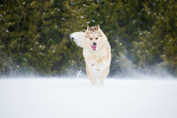 last snow run