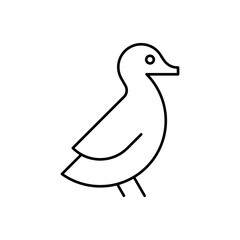 Duck Logo. Icon design. Template elements