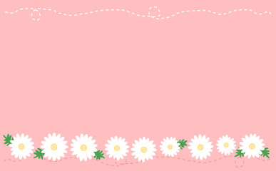 一列に並んだ白いマーガレッット ピンク背景 イラスト素材 色違い・差分有