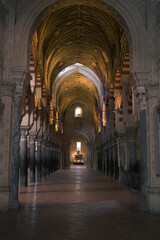 Arches and columns of the Mosque-Cathedral of Cordoba, Andalusia, Spain.