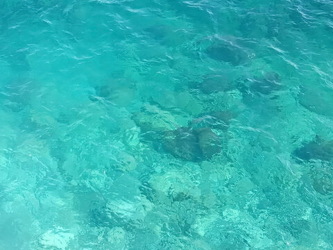 blue surface of transparent clear sea, beautiful natural background or texture