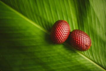 red aguaje fruit on green leaf