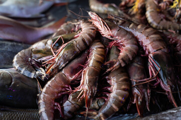 Fish plate Fischplatte 