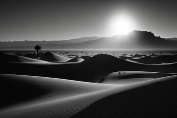 Fototapeta na wymiar Monochrome Mirage: A Stunning Black and White Shot of the Desert. Generative AI