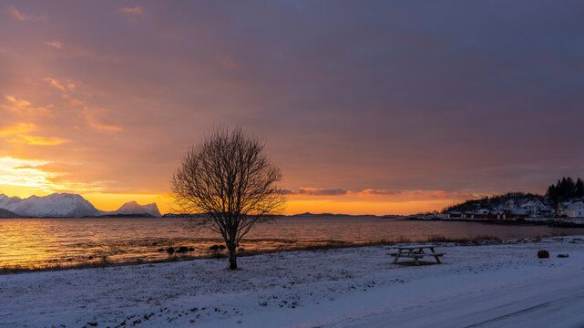 Abendrot mit Brücke, Baum, Rastplatz und den verschneiten Bergen von Senja, Norwegen. Panorama. die roten Wolken spiegeln sich in Wasser des Fjords bei Skaland. Sonnenuntergang am Bergsfjorden. © Dieter