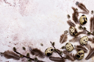 Easter background with quail eggs, feathers and catkins on light background with copy space for your tekst. Easter card.
