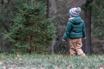 Child in knitted hat and warm jacket walks through pine forest on autumn day. Back view. Child walking outside.
