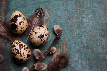 Easter background with quail eggs, feathers and catkins on green rustic  wooden background with copy space for your tekst. Easter card. - 587006449