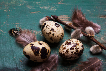 Easter background with quail eggs, feathers and catkins on green rustic  wooden background with copy space for your tekst. Easter card. - 587006658