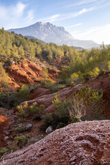 lumi&egrave;re douce d un matin d hivers