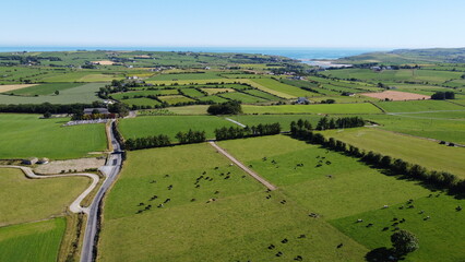 Picturesque fields of Ireland under a blue sky on a sunny summer day. Animals in the pasture. Agricultural landscape. Livestock lands, top view. Green grass field under blue sky - obrazy, fototapety, plakaty
