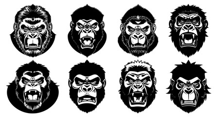 Set of gorilla heads with open mouth and bared fangs, with different angry expressions of the muzzle. Symbols for tattoo, emblem or logo, isolated on a white background.