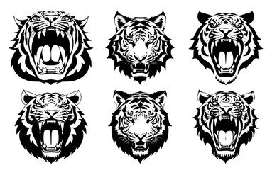 Obraz premium Set of tiger heads with open mouth and bared fangs, with different angry expressions of the muzzle. Symbols for tattoo, emblem or logo, isolated on a white background.