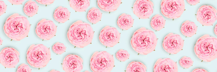 Banner with pattern made of pink rose flowers on a blue background.