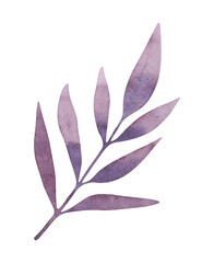 Watercolor, textural, autumn illustration, isolated, on a white background, of a lilac branch with leaves. Drawn by hand. For decoration, as a design element, postcards and invitations.