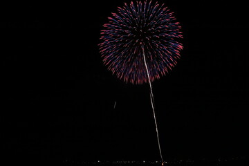 夜を照らす花火