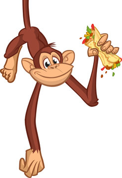 Cartoon funny monkey chimpanzee holding falafel or kebab in his hands. Vector illustration of happy monkey character design isolated