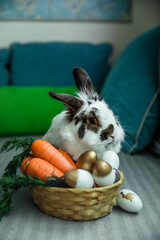 Easter fluffy bunny with carrots and eggs
