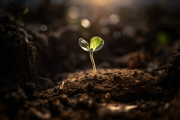 Fototapeta na wymiar Green sprout growing from seed, ecology concept and World Earth Day banner. Young green plant growing at sunlight. Generative ai