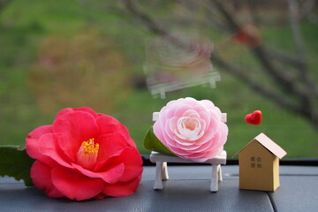 赤とピンクの椿の花とおもちゃの家
