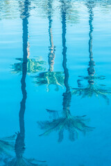 Water reflections of palm trees in a swimming pool, tropical travel and tourism background