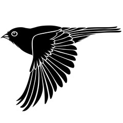 illustration of a flying bird