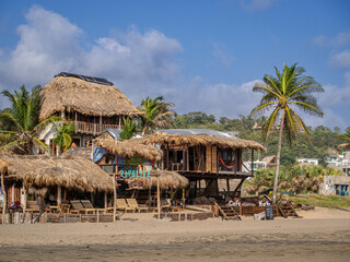 A thatched roofed hotel and a palm tree on the beach