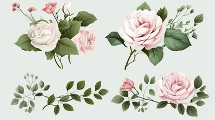 Behang Set of floral branch. Flower pink rose, green leaves. Wedding concept with flowers. Floral poster, invite. Vector arrangements for greeting card or invitation design Background  © xpert
