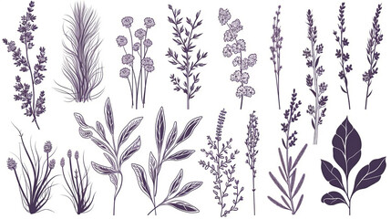 Spring lavender rustic herbs 