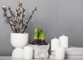 Spring still life with flowerpots with hyacinths, candles,  willow branches and books. Scandinavian interior style.