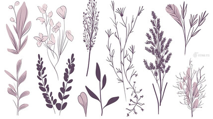 Spring lavender rustic herbs 