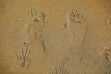 Wet sand during low tide in Normandy, France
