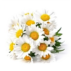Fototapeta premium Fresh and delicate daisy bouquet with vibrant colors, isolated on white. Aesthetic and elegant floral composition. Generative AI