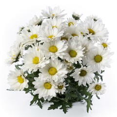 Fresh and delicate daisy bouquet with vibrant colors, isolated on white. Aesthetic and elegant floral composition. Generative AI