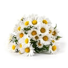 Fototapeta premium Fresh and delicate daisy bouquet with vibrant colors, isolated on white. Aesthetic and elegant floral composition. Generative AI