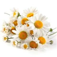Fresh and delicate daisy bouquet with vibrant colors, isolated on white. Aesthetic and elegant floral composition. Generative AI