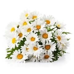 Fototapeta na wymiar Fresh and delicate daisy bouquet with vibrant colors, isolated on white. Aesthetic and elegant floral composition. Generative AI