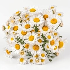 Fototapeta premium Fresh and delicate daisy bouquet with vibrant colors, isolated on white. Aesthetic and elegant floral composition. Generative AI