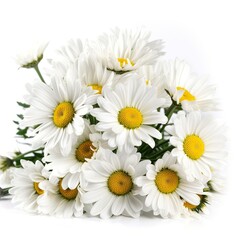 Obraz premium Fresh and delicate daisy bouquet with vibrant colors, isolated on white. Aesthetic and elegant floral composition. Generative AI