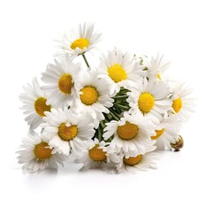 Obraz premium Fresh and delicate daisy bouquet with vibrant colors, isolated on white. Aesthetic and elegant floral composition. Generative AI